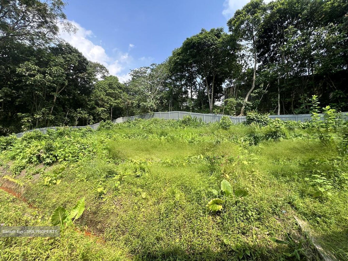 Greenbank Park (D21), Semi-Detached #466855171